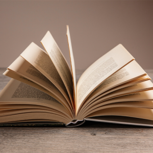 Beyond Birth: A Doula’s Guide to Making Money & Growing Your Business Between Clients